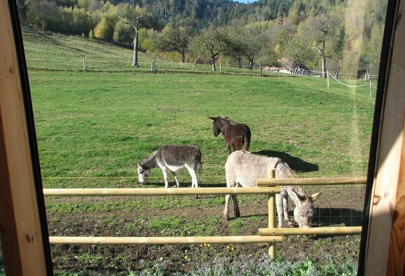 ペンション La Ferme Traitsanes