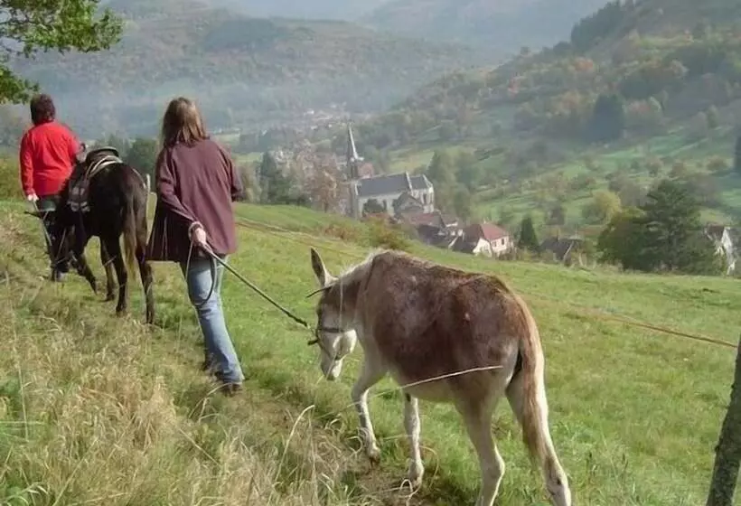 Majatalo La Ferme Traitsanes