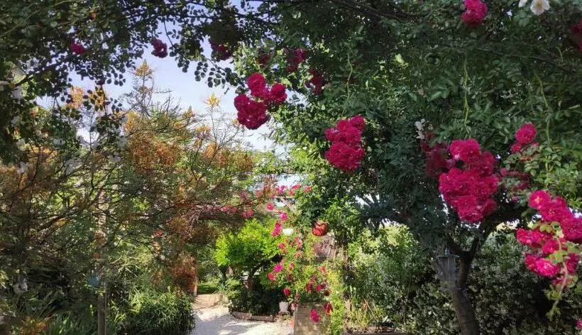 Majatalo Maison D Hôtes Coeur D Hérault