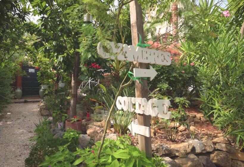 פנסיון Maison D Hôtes Coeur D Hérault