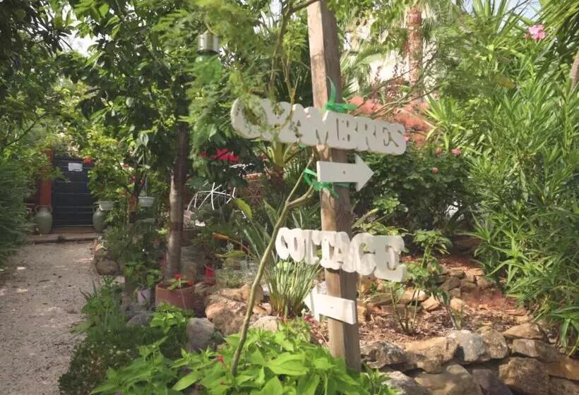 Majatalo Maison D Hôtes Coeur D Hérault