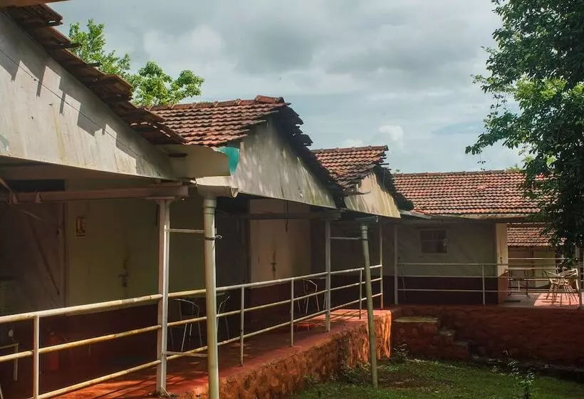 Lomakeskus Nature Trails Kundalika, Kolad