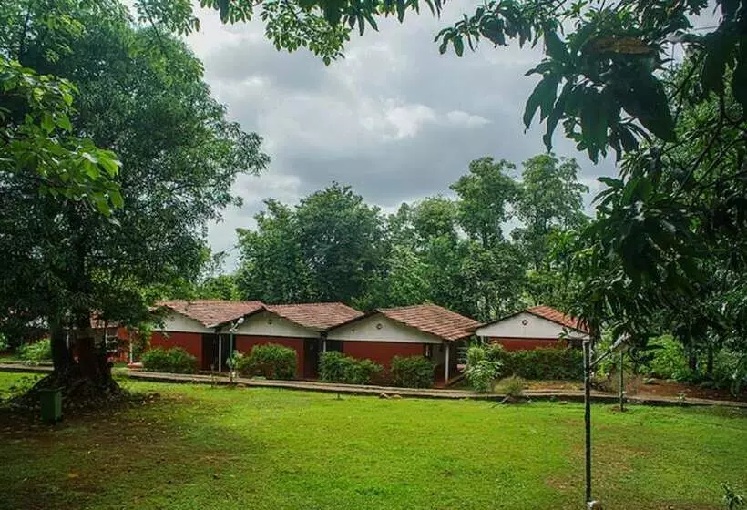 Lomakeskus Nature Trails Kundalika, Kolad