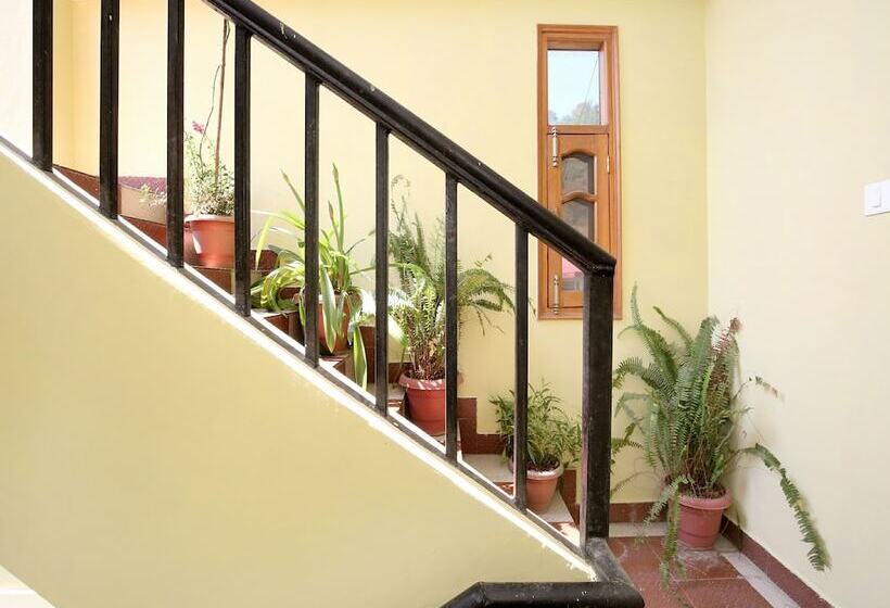 Black Pepper By Oyo Rooms