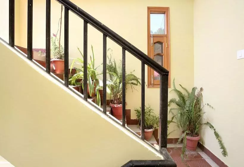 Black Pepper By Oyo Rooms