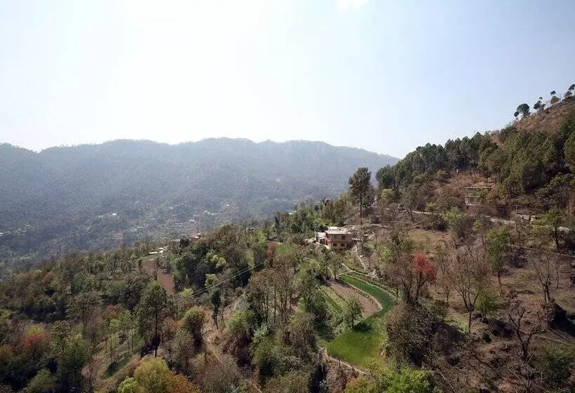 Black Pepper By Oyo Rooms