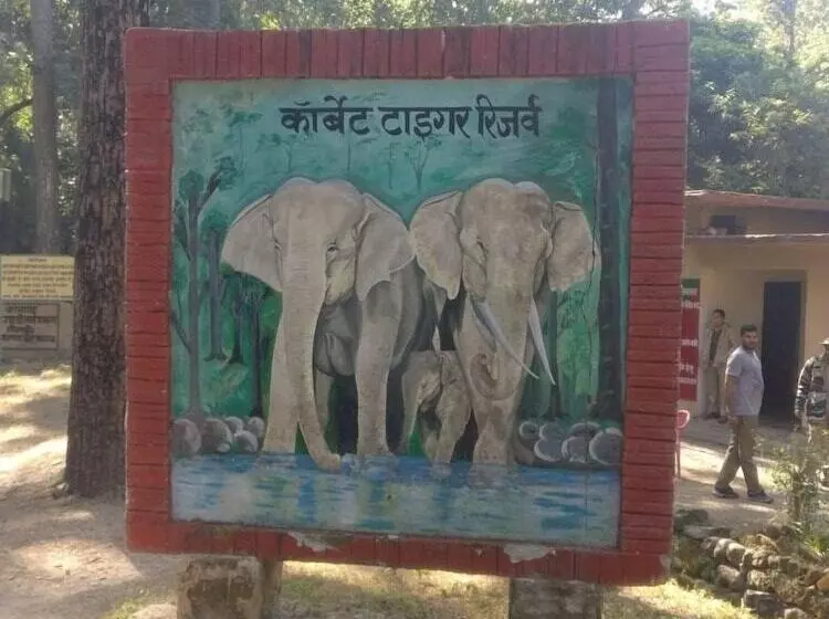 ホテル Corbett Mist Resort