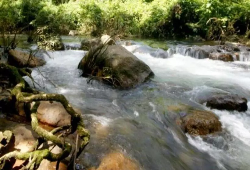 Hotelli The Forest Home Resort