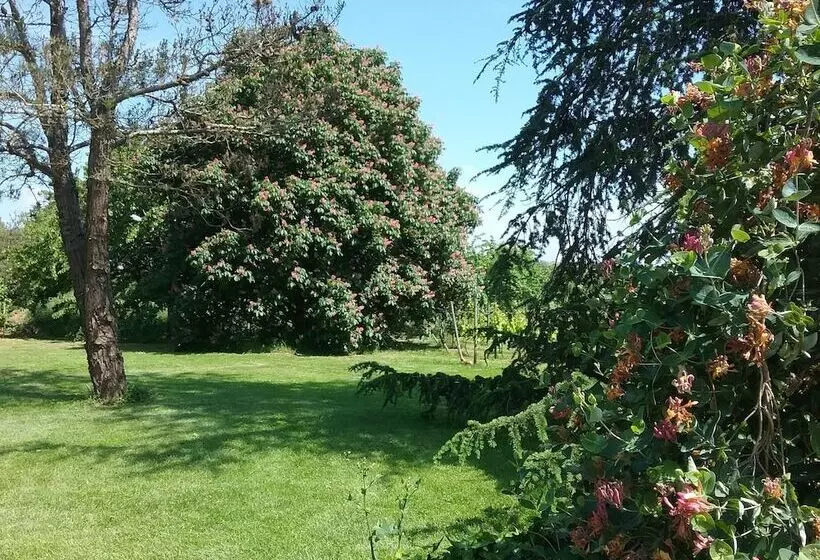 Pension  La Pasteliere