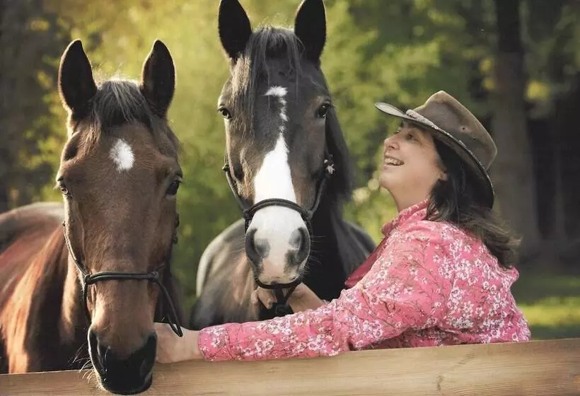 Majatalo Les Crinieres En Brie