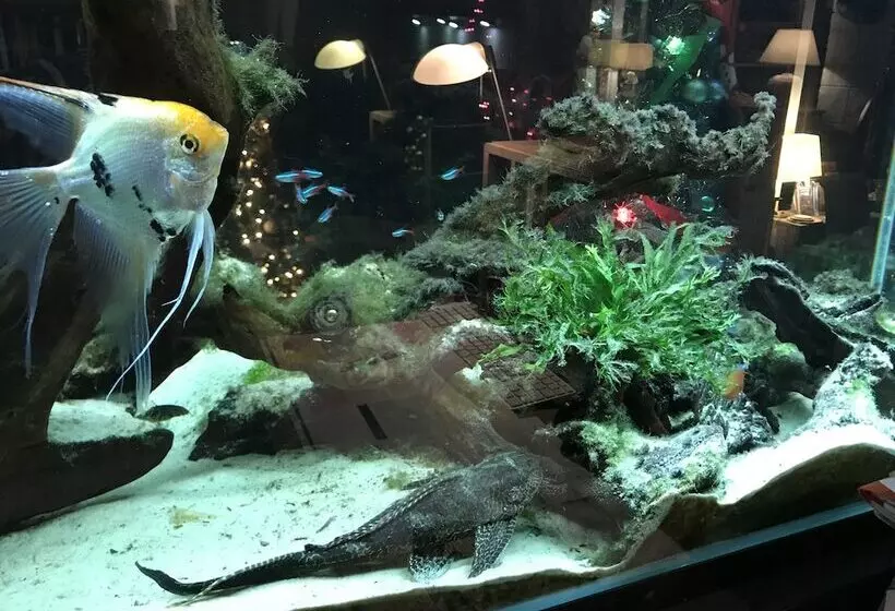 Majatalo Les Crinieres En Brie