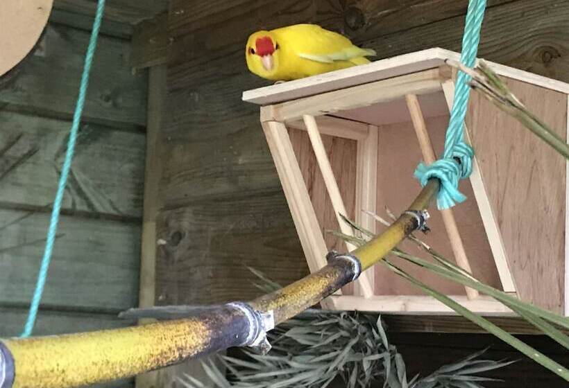 펜션 Les Crinieres En Brie