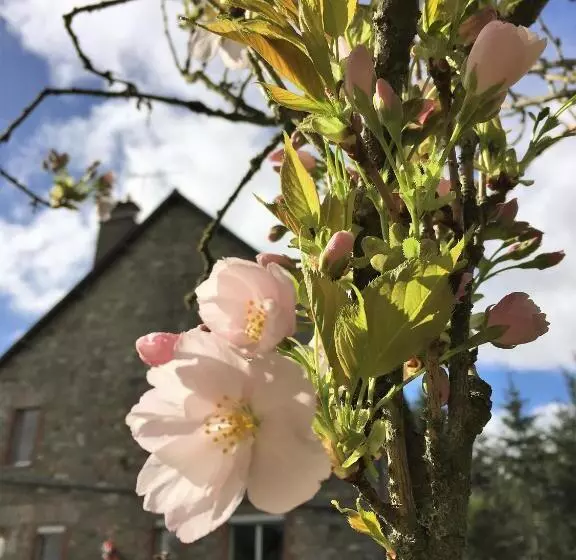 Majatalo Les Voisins De L Illet