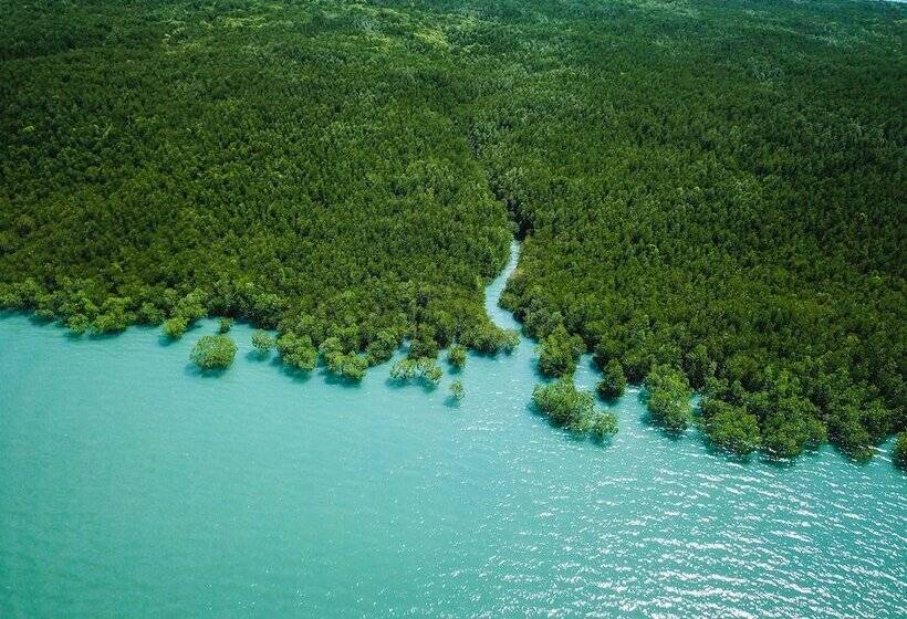 ペンション Mango House Seafront Suites And Villas