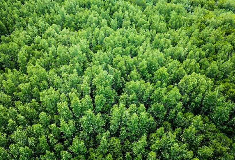 ペンション Mango House Seafront Suites And Villas