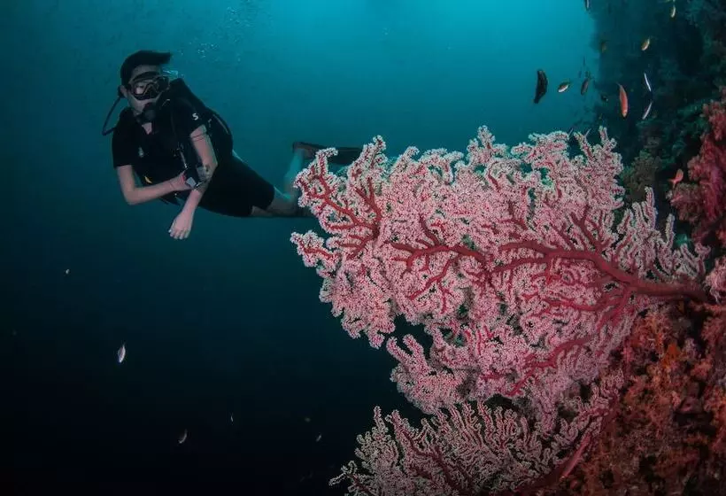 ペンション Mango House Seafront Suites And Villas