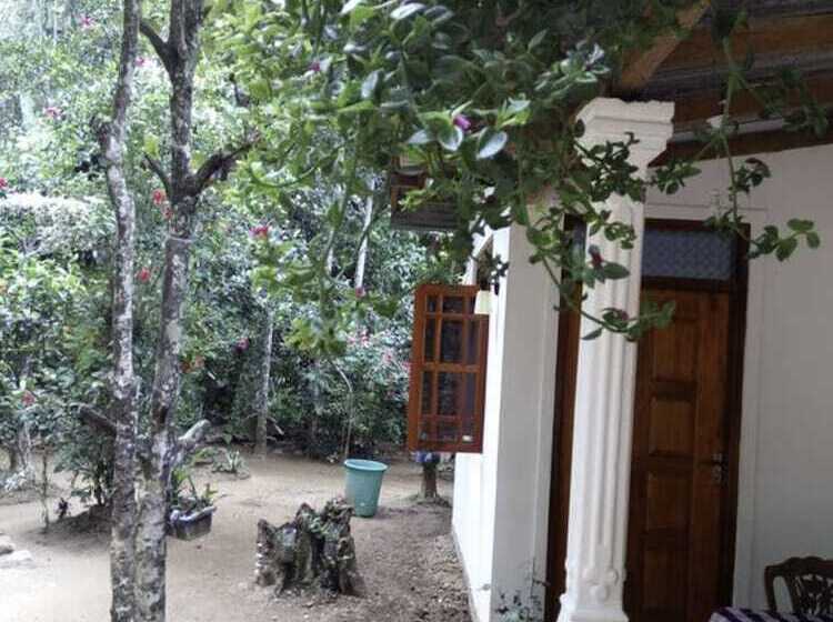Pensió Yoho Nature Homestay