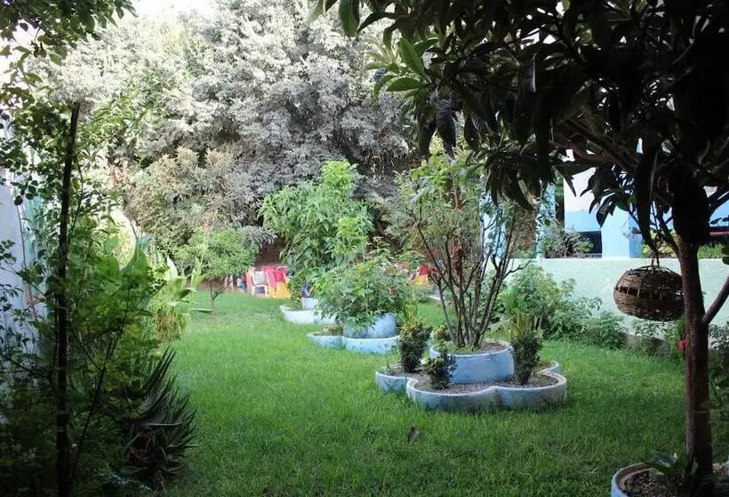 ریاض Dar Karaz