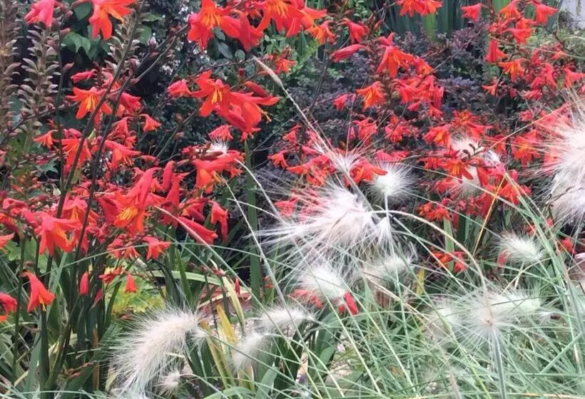 ベッドアンドブレックファースト Chambres D Hôtes Du Clos Semper Felix