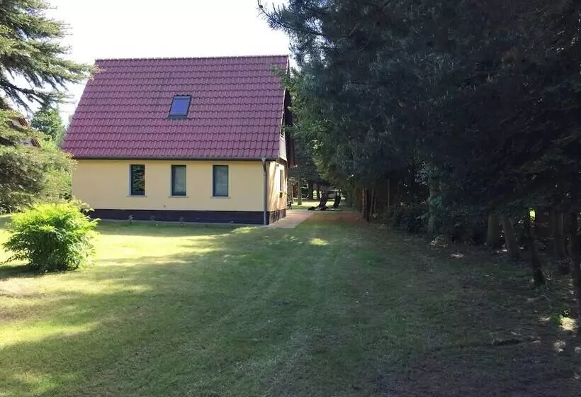 Ferienhaus Mirow Lärz   Kamin Wald Ruhe