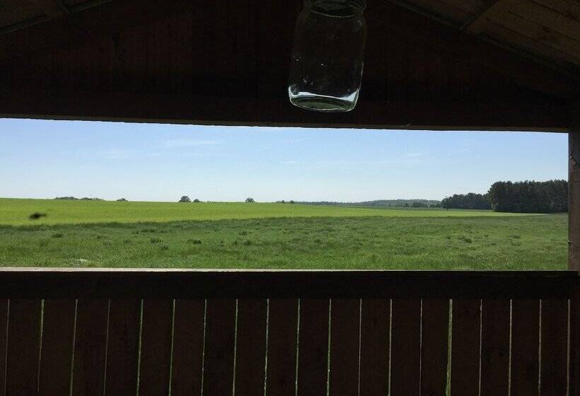 Ferienhaus Mirow Lärz Kamin Wald Ruhe