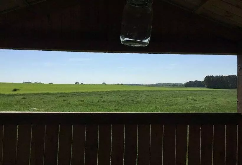 Ferienhaus Mirow Lärz   Kamin Wald Ruhe