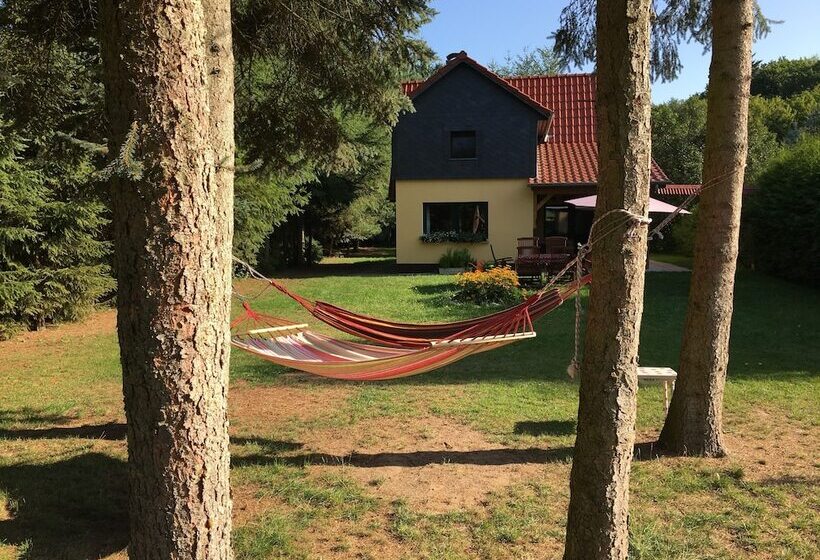 Ferienhaus Mirow Lärz Kamin Wald Ruhe