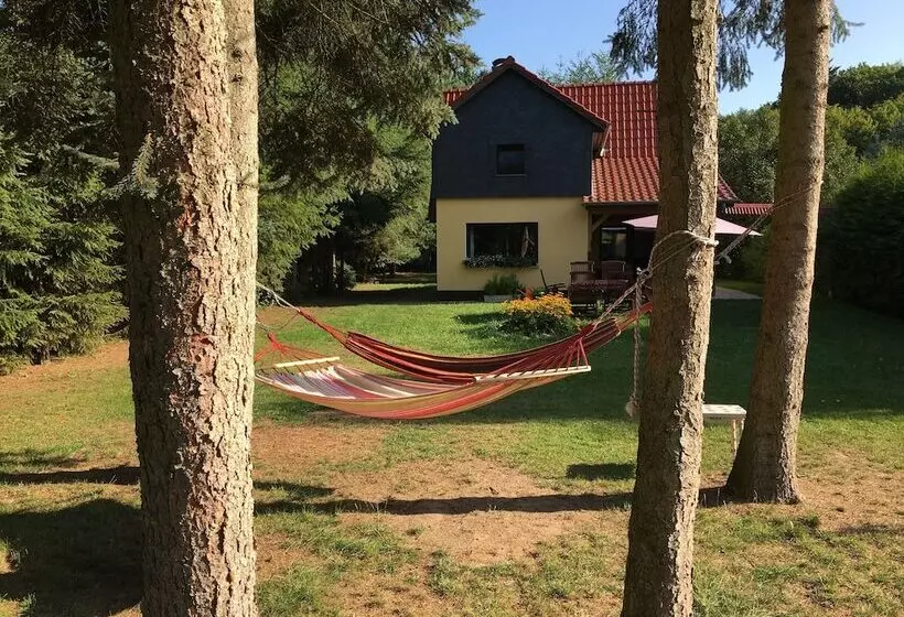 Ferienhaus Mirow Lärz   Kamin Wald Ruhe