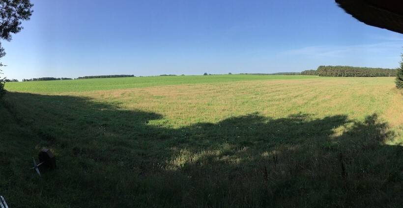 Ferienhaus Mirow Lärz Kamin Wald Ruhe
