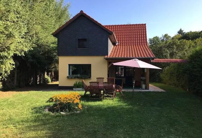 Ferienhaus Mirow Lärz   Kamin Wald Ruhe