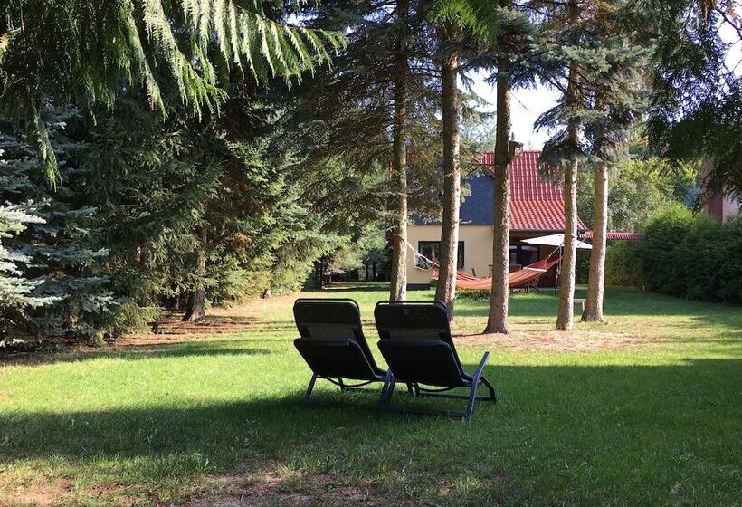 Ferienhaus Mirow Lärz Kamin Wald Ruhe