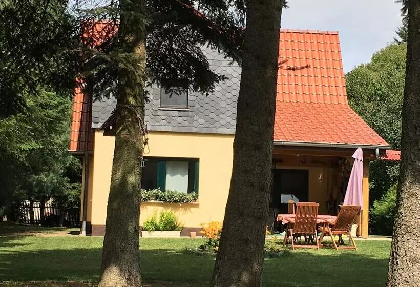 Ferienhaus Mirow Lärz   Kamin Wald Ruhe
