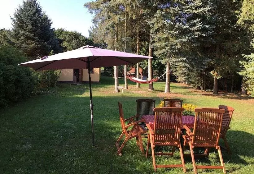Ferienhaus Mirow Lärz   Kamin Wald Ruhe