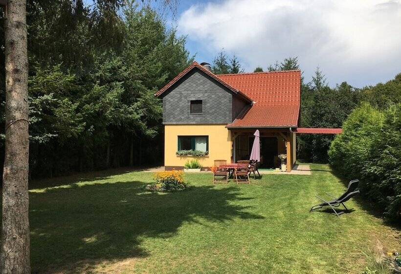 Ferienhaus Mirow Lärz Kamin Wald Ruhe