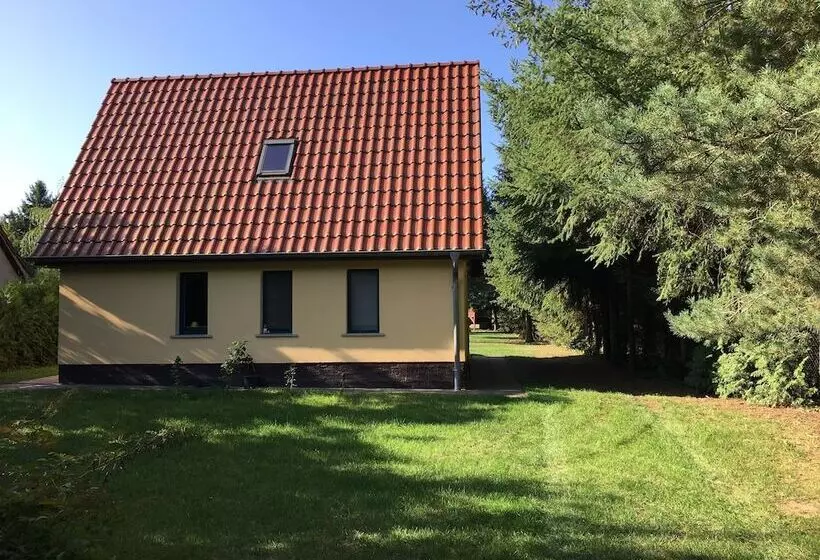 Ferienhaus Mirow Lärz   Kamin Wald Ruhe