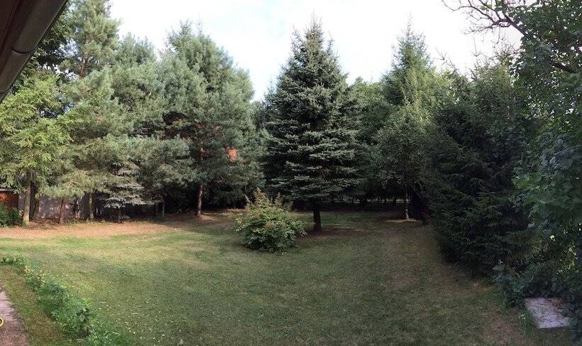 Ferienhaus Mirow Lärz   Kamin Wald Ruhe