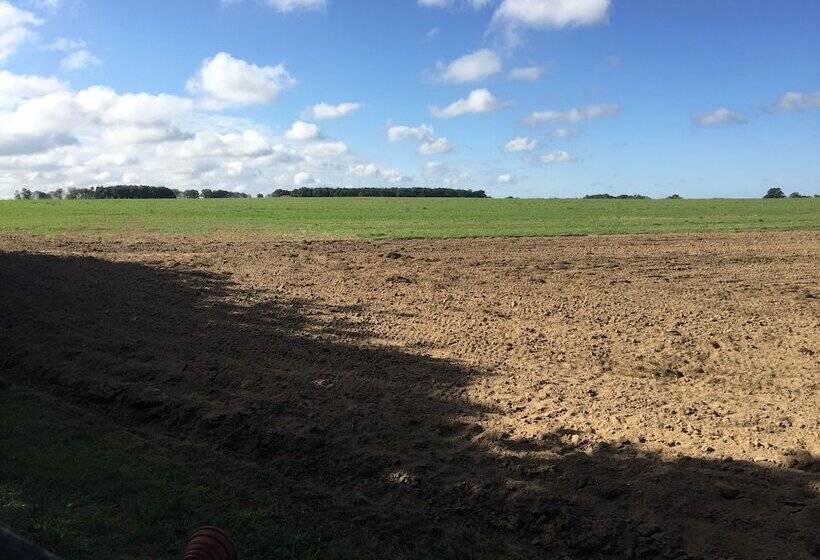 Ferienhaus Mirow Lärz   Kamin Wald Ruhe