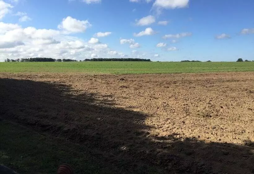 Ferienhaus Mirow Lärz   Kamin Wald Ruhe