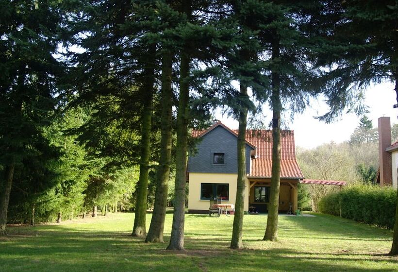 Ferienhaus Mirow Lärz   Kamin Wald Ruhe