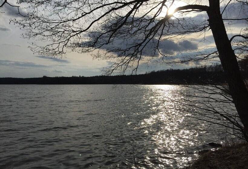 Ferienhaus Mirow Lärz Kamin Wald Ruhe