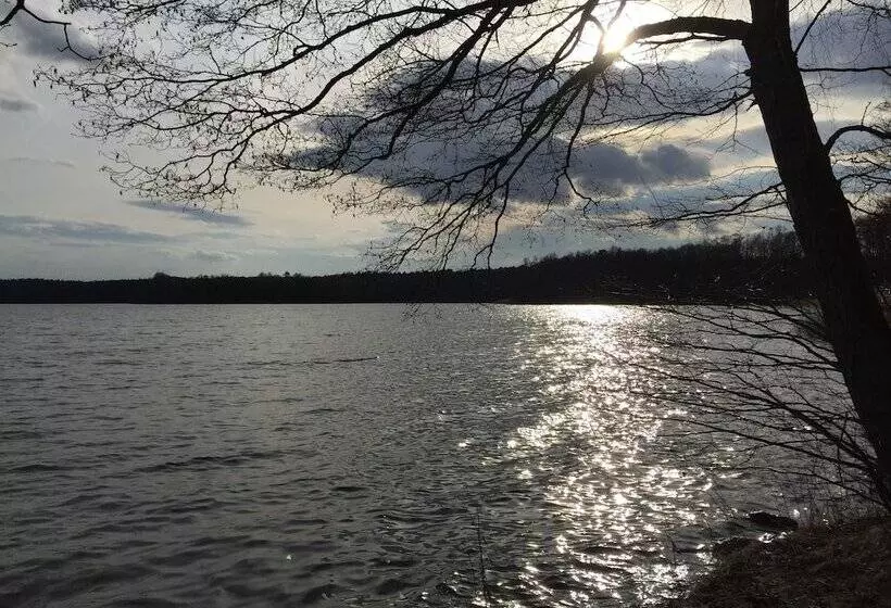 Ferienhaus Mirow Lärz   Kamin Wald Ruhe