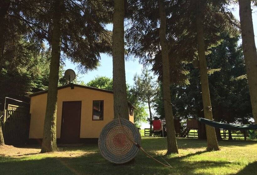 Ferienhaus Mirow Lärz   Kamin Wald Ruhe