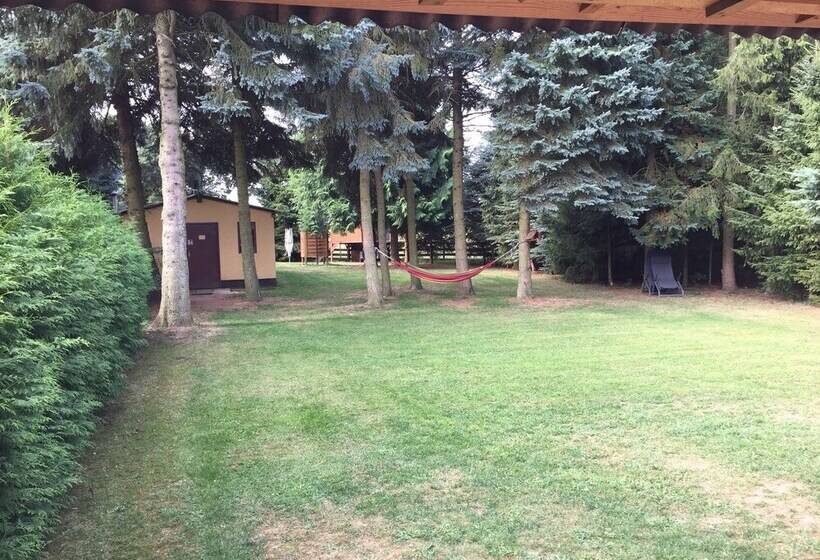 Ferienhaus Mirow Lärz Kamin Wald Ruhe