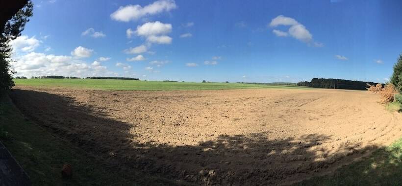 Ferienhaus Mirow Lärz Kamin Wald Ruhe