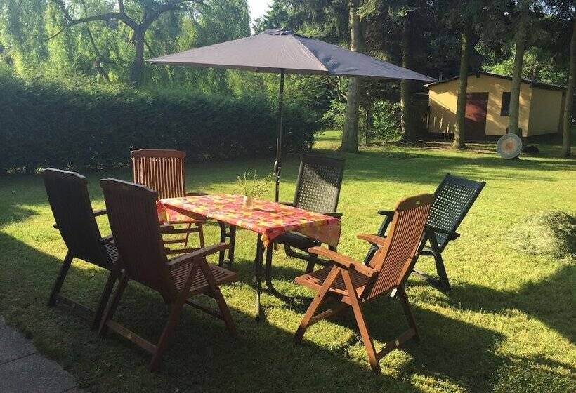 Ferienhaus Mirow Lärz   Kamin Wald Ruhe