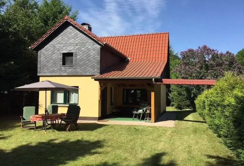 Ferienhaus Mirow Lärz   Kamin Wald Ruhe