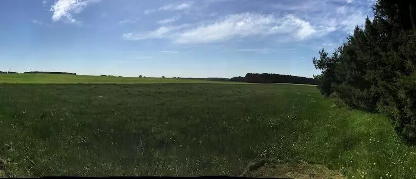 Ferienhaus Mirow Lärz   Kamin Wald Ruhe