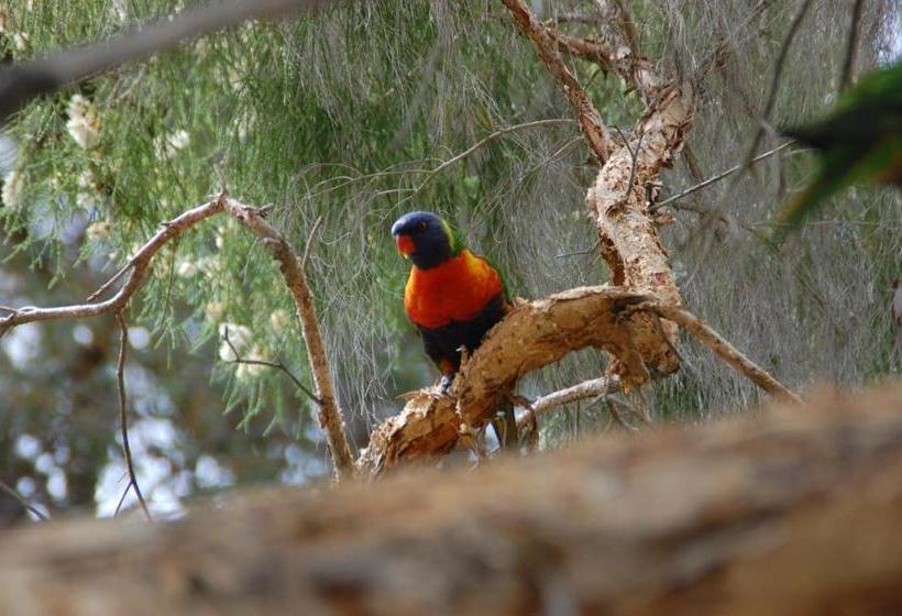 Honeybee Country Accommodation