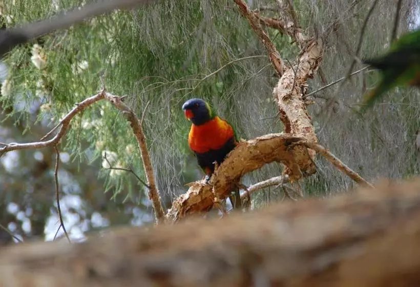 Honeybee Country Accommodation