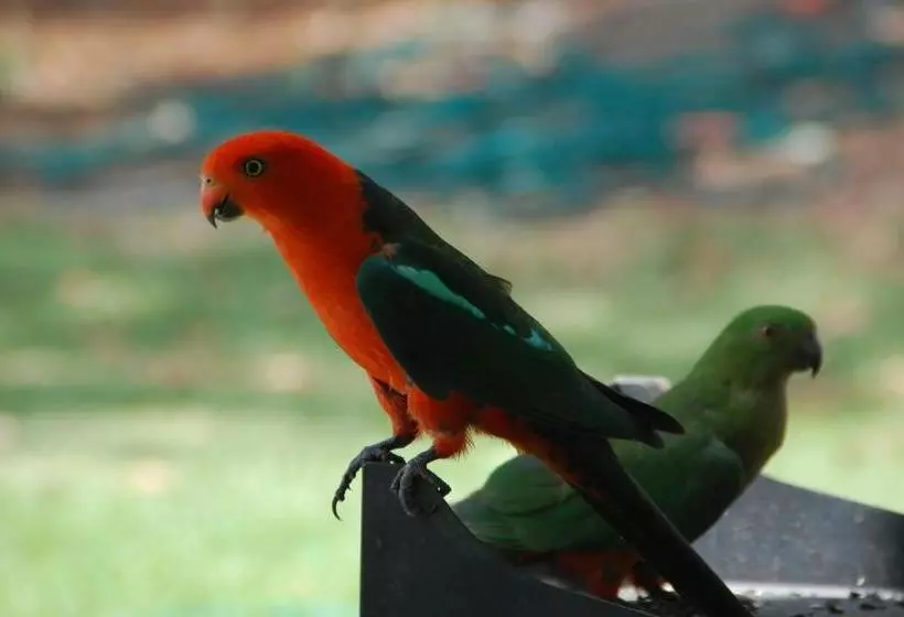 Honeybee Country Accommodation